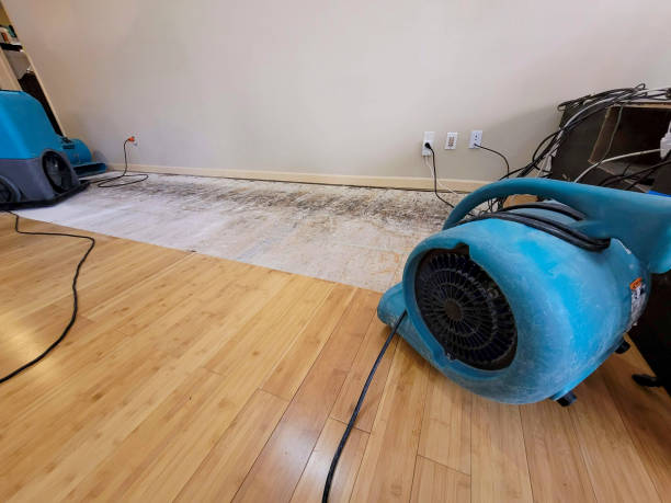 Professional Flood Damage Cleanup technician working in Beaver, OK